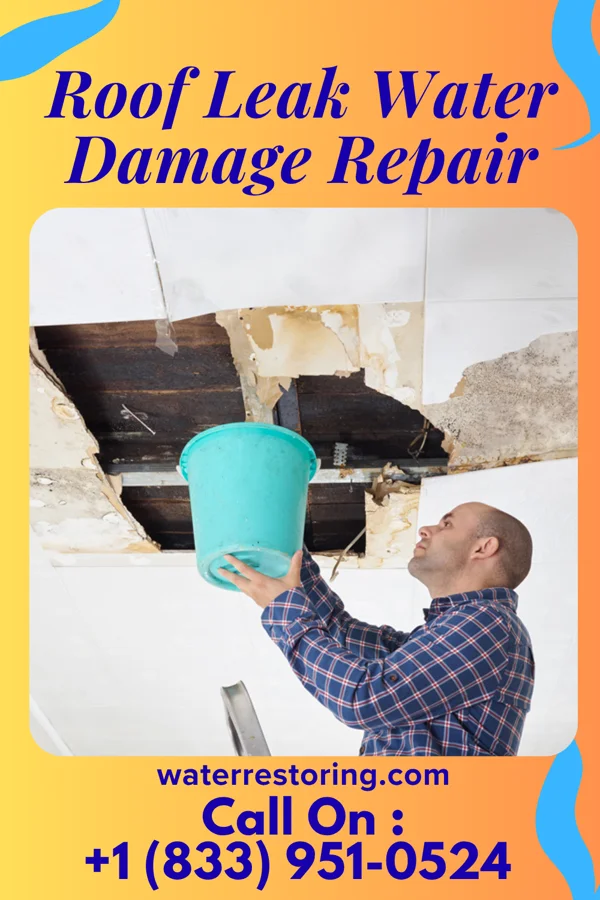 Roof Leak Water Damage Repair in Bronson, MI